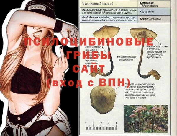 a pvp Верея